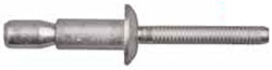 1/4" (6.30mm) Rivet