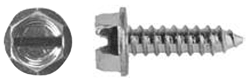 1/4" License Plate Screw