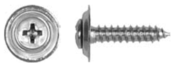 10 x 1" Chrome Trim Screw