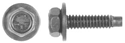 Black Dog Point Body Bolt