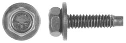 Black Dog Point Body Bolt