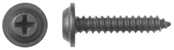 1" Black Trim Screw