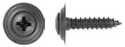 Black Loose Washer Trim Screw